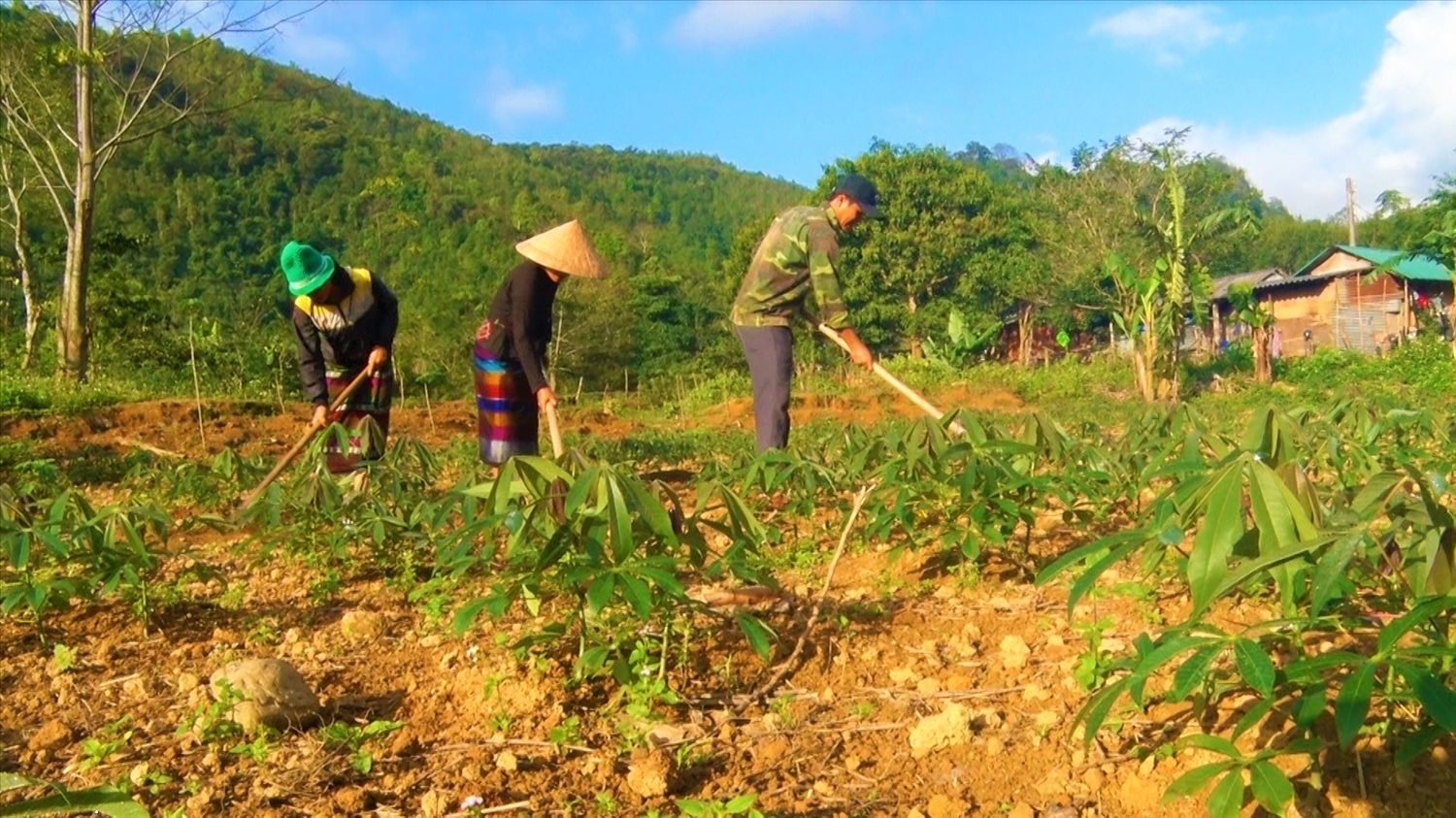 Đồng bào DTTS ở xã Hướng Lập thoát nghèo nhờ được giao đất sản xuất 