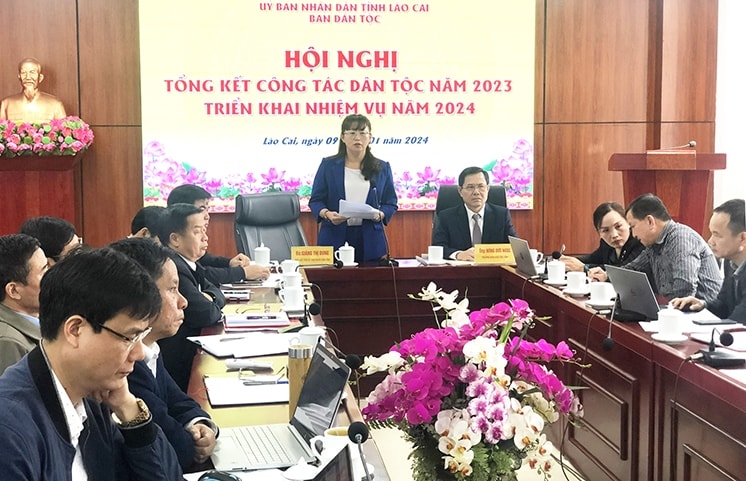 Phó Chủ tịch UBND tỉnh Lào Cai Giàng Thị Dung phát biểu chỉ đạo tại Hội nghị