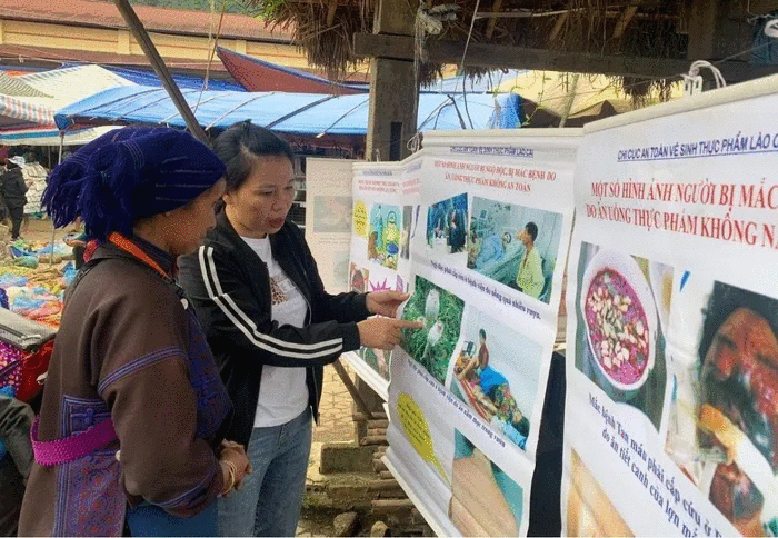 Bài Tổng hợp Cảnh cáo hiểm hoạ ngộ độc từ cây lạ trong rừng 2