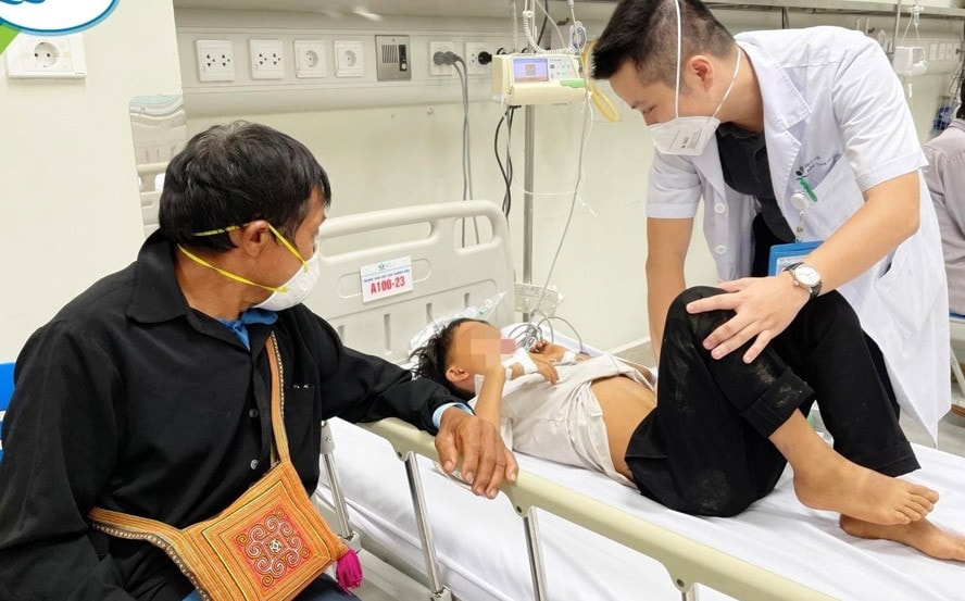 Bài Tổng hợp Cảnh cáo hiểm hoạ ngộ độc từ cây lạ trong rừng 1