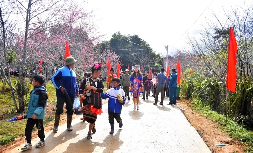 Rất đông người dân và du khách tham quan đảo hoa anh đào. 