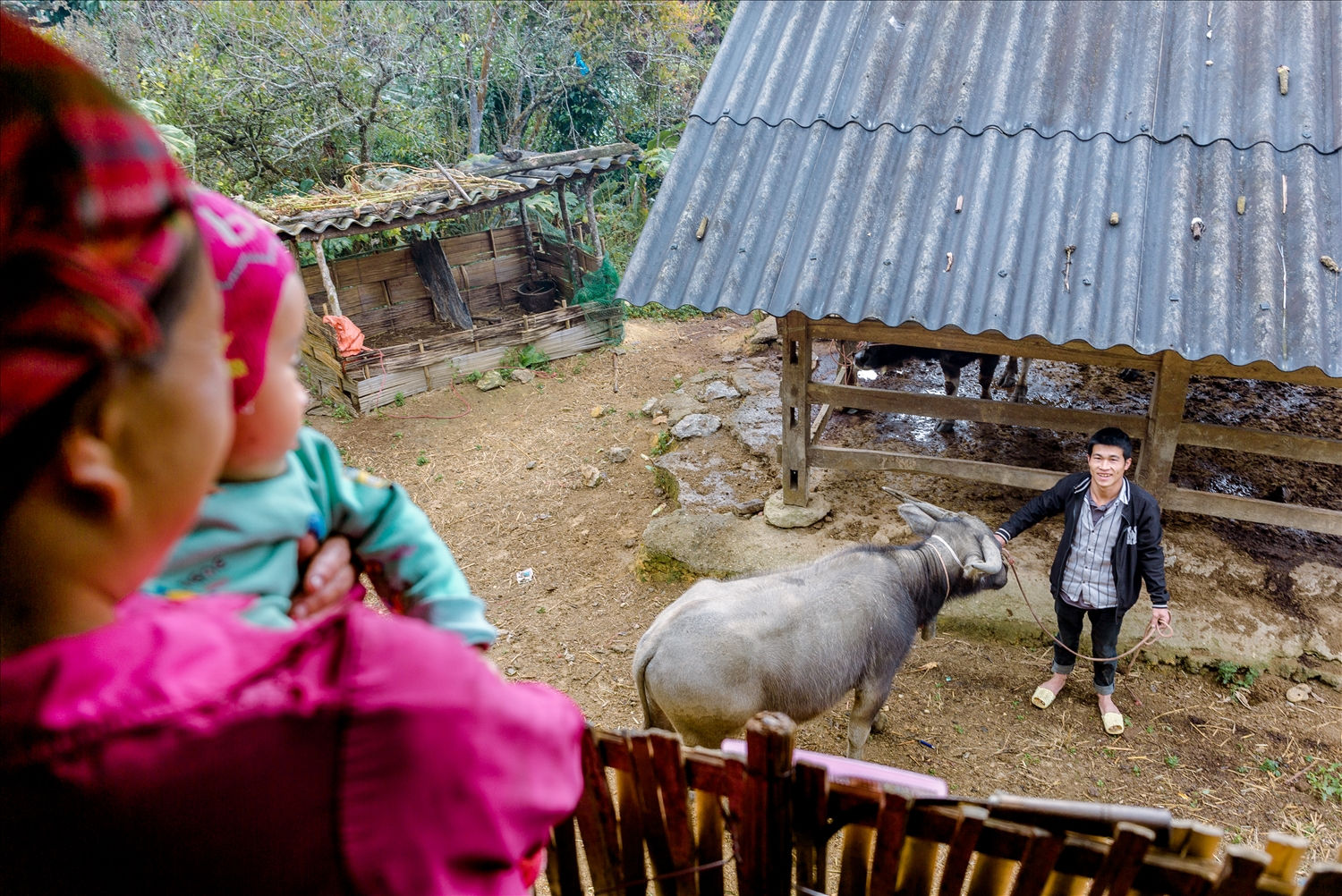 Có sự hỗ trợ từ chính sách, nhiều hộ gia đình tại Phìn Sư nuôi khát vọng vươn lên thoát nghèo