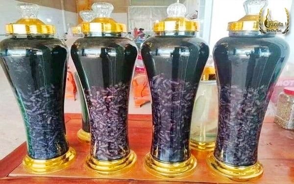 (Tổng hợp) Công dụng chữa bệnh của cây ba kích 4