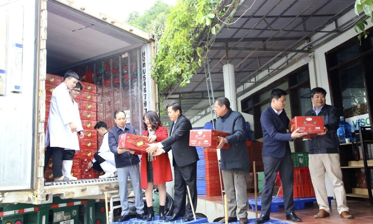 Tin: Xuất khẩu lô bưởi Diễn Hòa Bình đầu tiên trong năm 2024 sang thị trường Hoa Kỳ