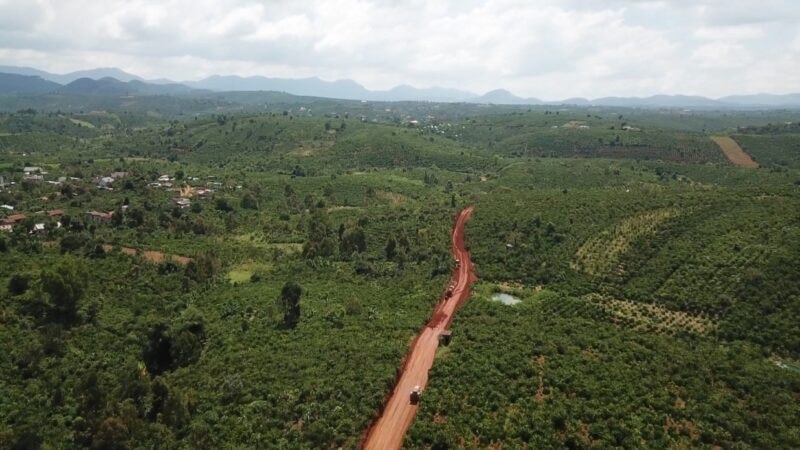 Tin: Người trồng cà phê Di Linh thắng lớn 1