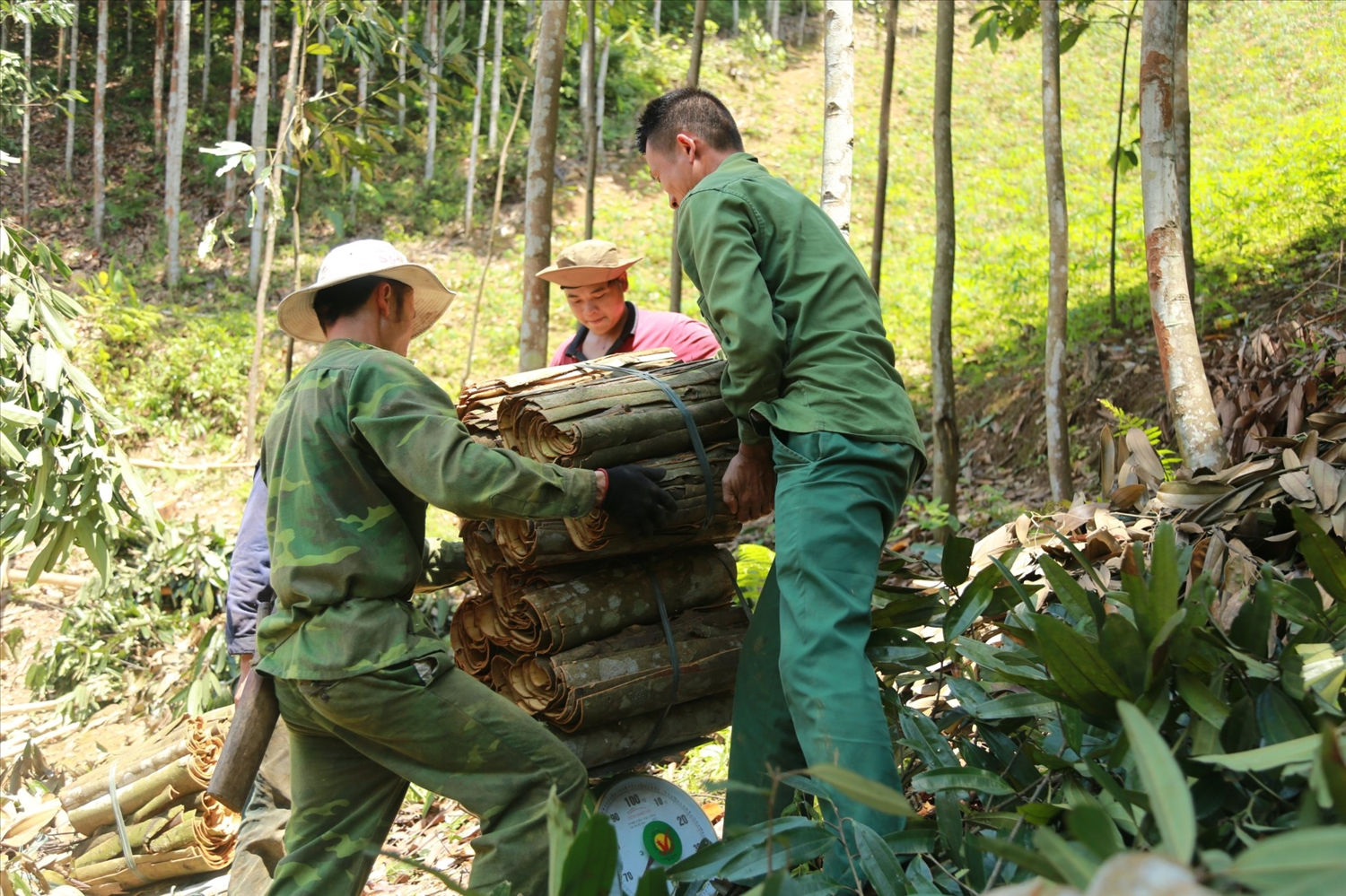 Ghi nhớ lời Bác, đồng bào các dân tộc Lào Cai hăng hía thi đua lao động sản xuất. Ghi nhớ lời Bác, đồng bào các dân tộc Lào Cai hăng hía thi đua lao động sản xuất.