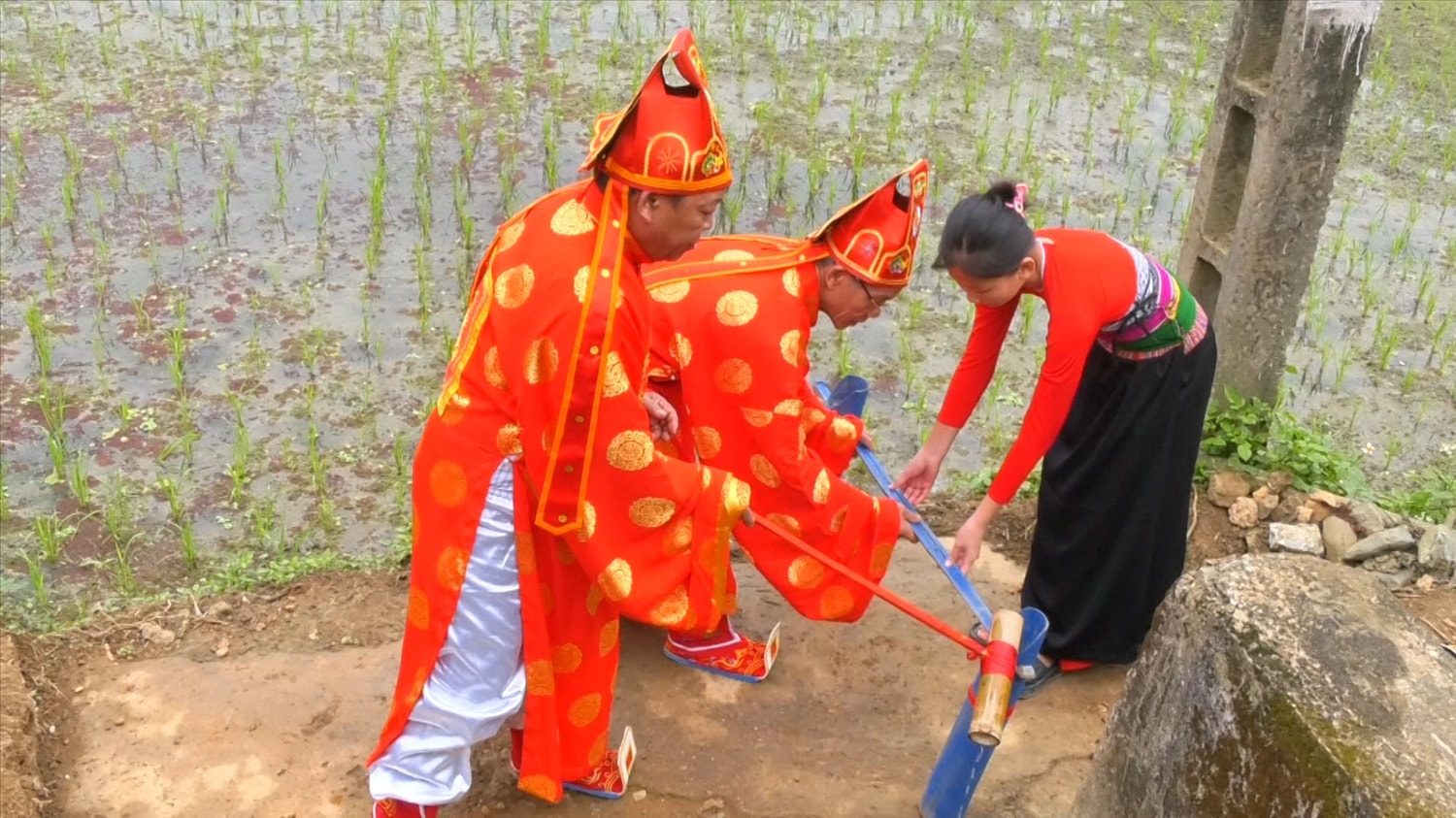 Lễ rước nước