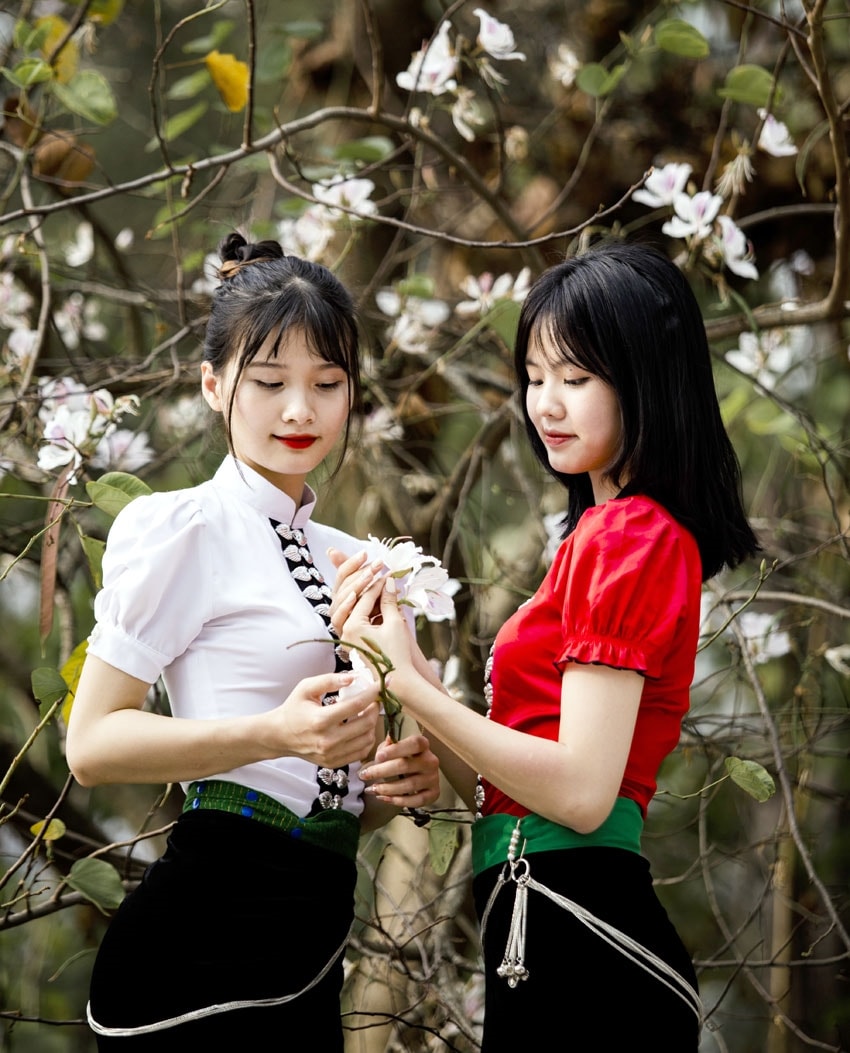 Mặc dù mới là đầu mùa, nhưng nhiều thiếu nữ vùng cao đã diện váy áo xúng xính chụp ảnh, Check-in cùng hoa Ban