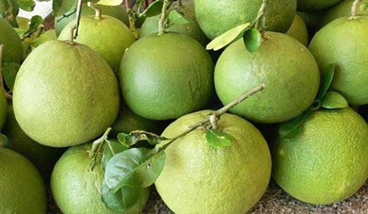 (Tổng hợp) Những bài thuốc nam trị tiểu đêm hiệu quả 3