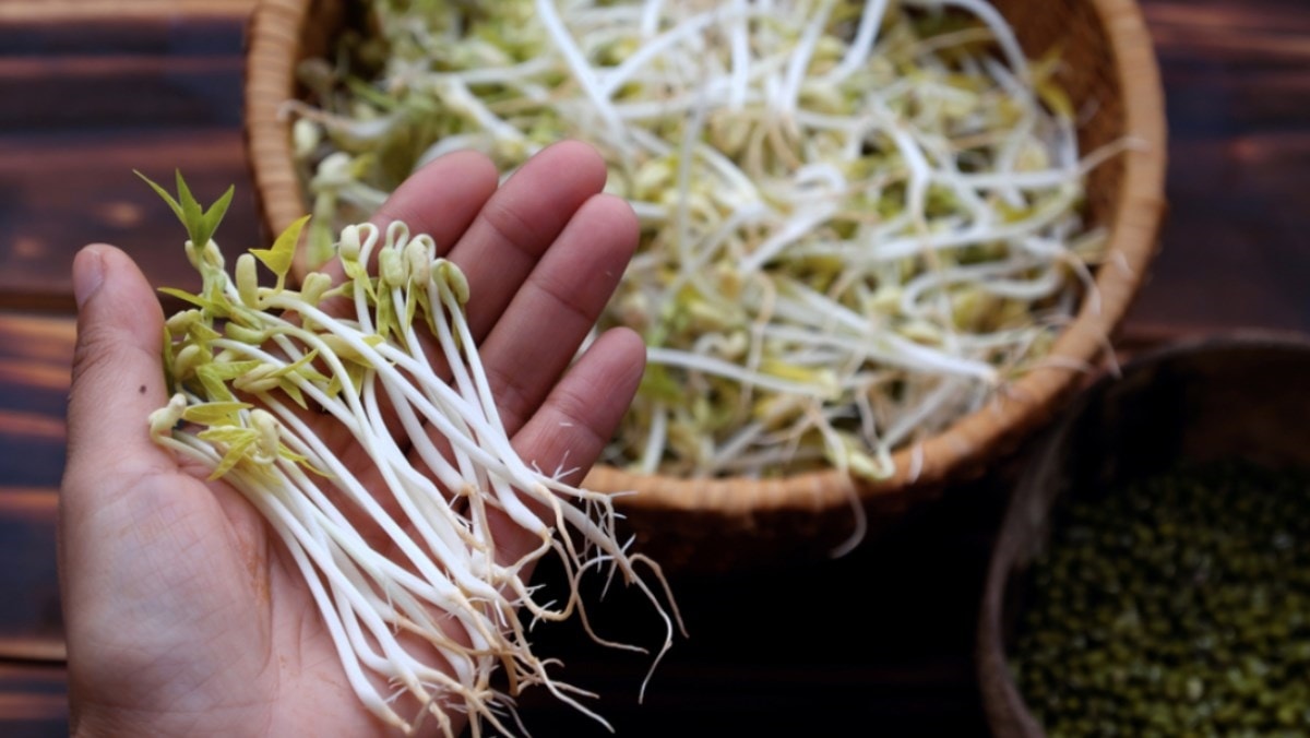(Tổng hợp) Những bài thuốc nam trị tiểu đêm hiệu quả 2