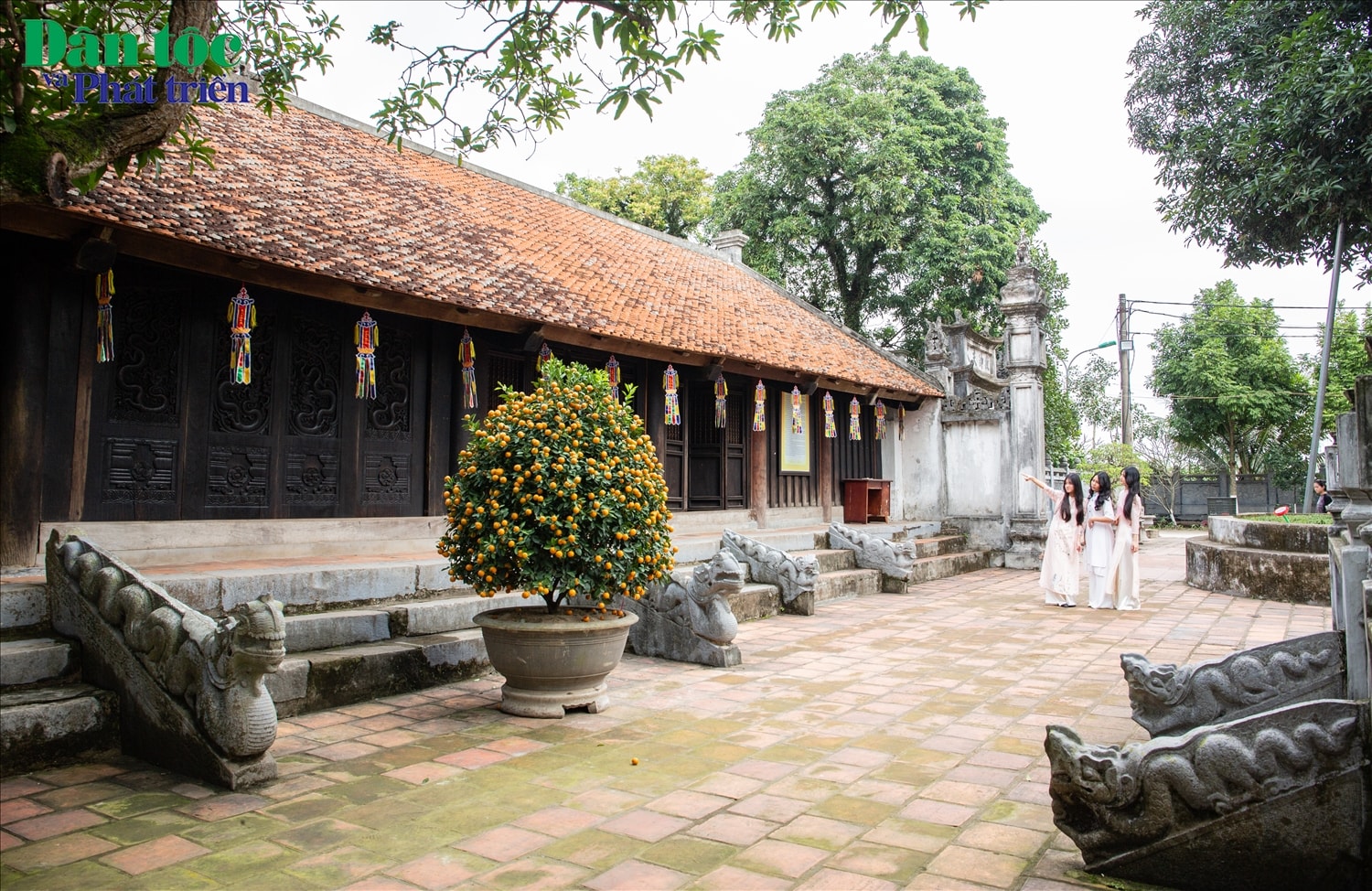  Bộ cánh cửa gồm có 4 tấm và được làm bằng gỗ lim, nguyên khối, mỗi tấm cao 1,90m, rộng 0,80m. Bộ cửa phiên bản tại chùa được dựng theo tỉ lệ 1:1 so với bản gốc (bộ cánh cửa gốc; 02 cửa giữa đang được trưng bày tại Bảo tàng Lịch sử quốc gia, 02 cửa bên đặt tại Bảo tàng tỉnh Nam Định).