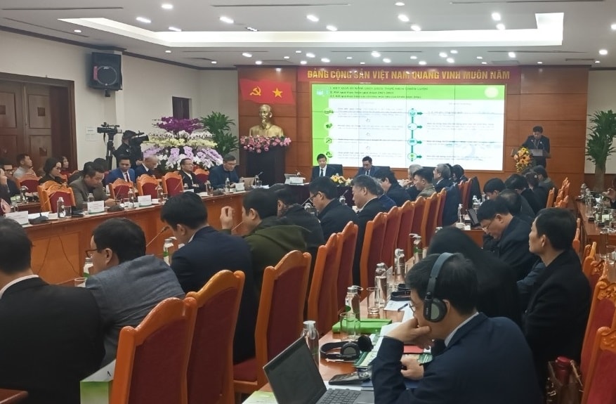 Bàn giải pháp phát triển bền vững ngành Lâm nghiệp