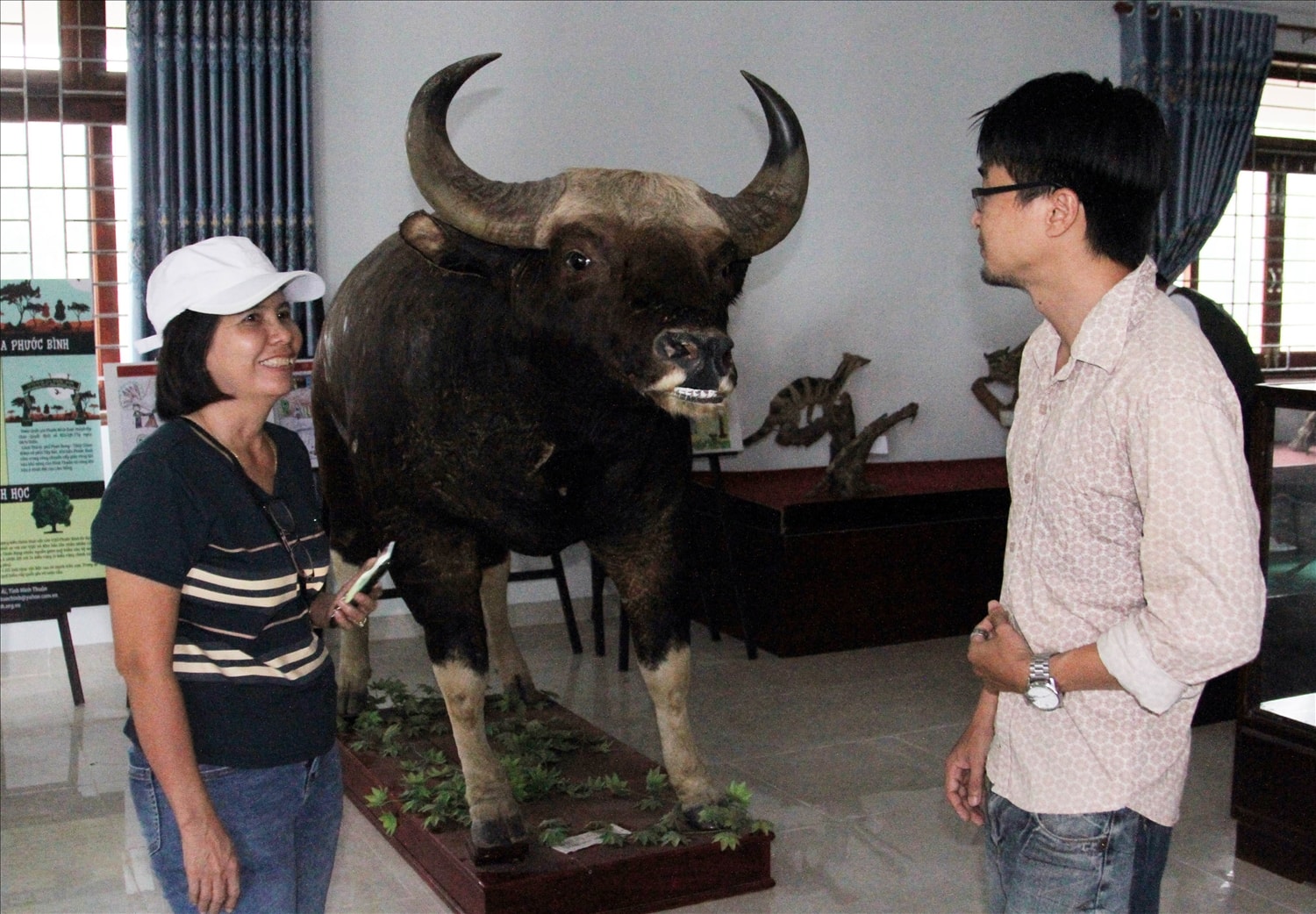 Du khách tham quan tiêu bản bò tót được trưng bày tại Trung  tâm  Giáo  dục  môi trường và Dịch vụ môi trường rừng thuộc Vườn Quốc gia Phước Bình