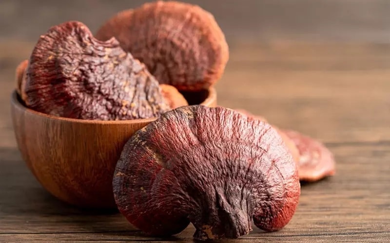 (Tổng hợp) Hướng dẫn cách trồng nấm linh chi hiệu quả, năng suất nhất 6