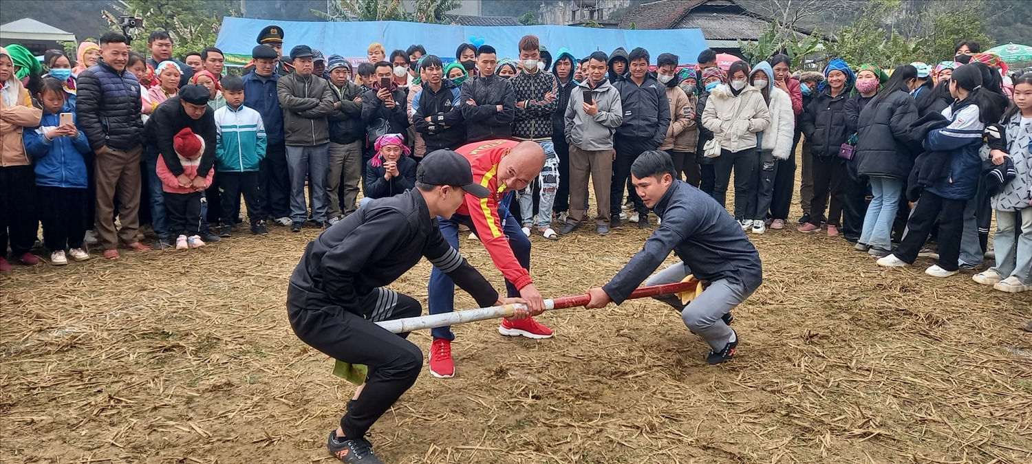 Thi đấu vật Thi đấu vật