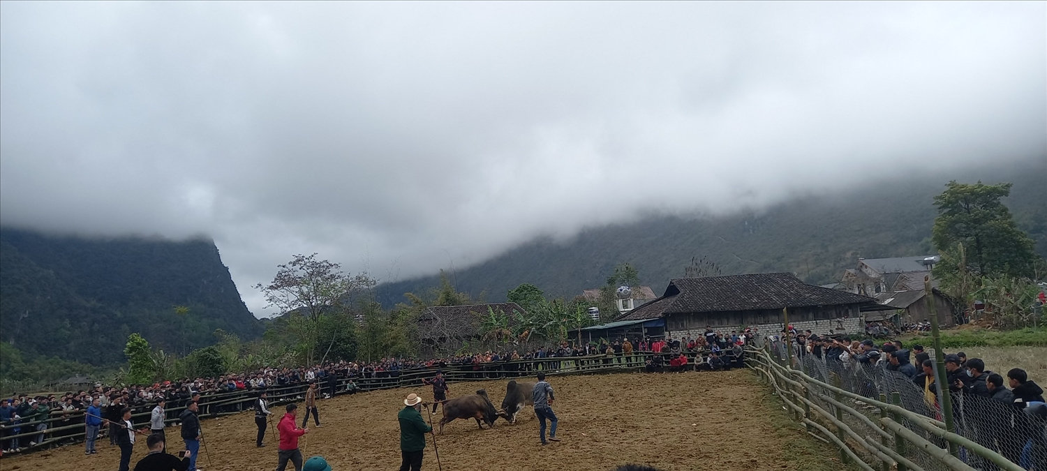 Trọi bò Trọi bò