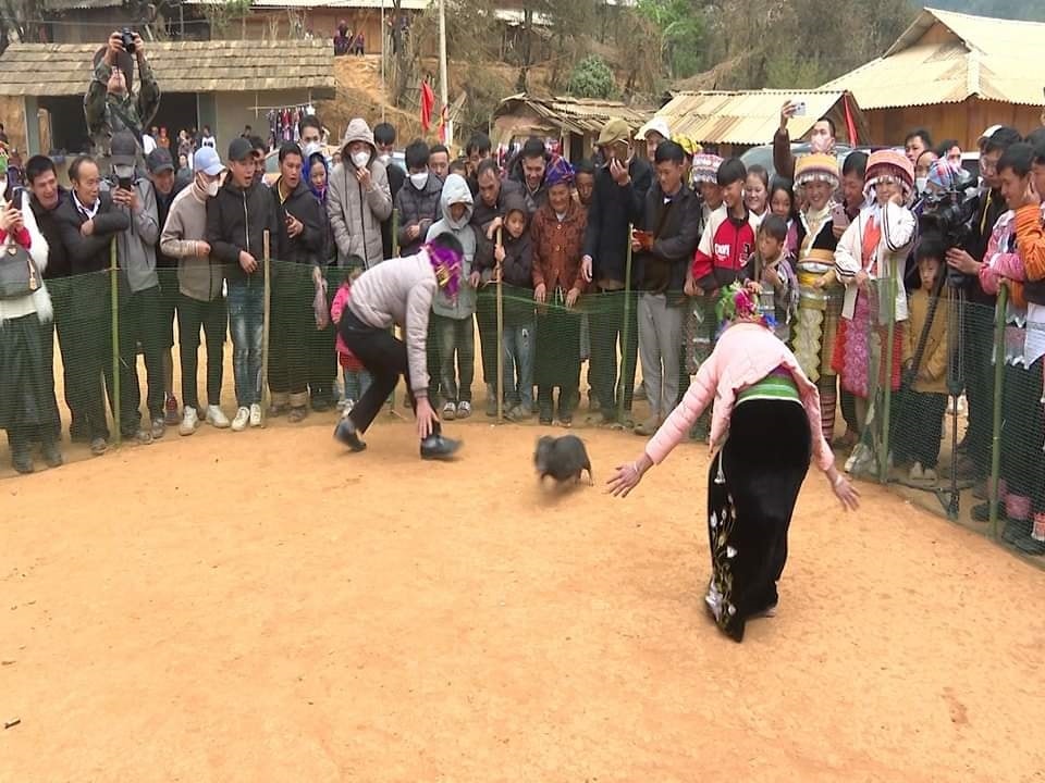 Bịt mắt bắt lợn là phần thi thu hút đông đảo sự chú ý của du khách và người dân địa phương. Bịt mắt bắt lợn là phần thi thu hút đông đảo sự chú ý của du khách và người dân địa phương.