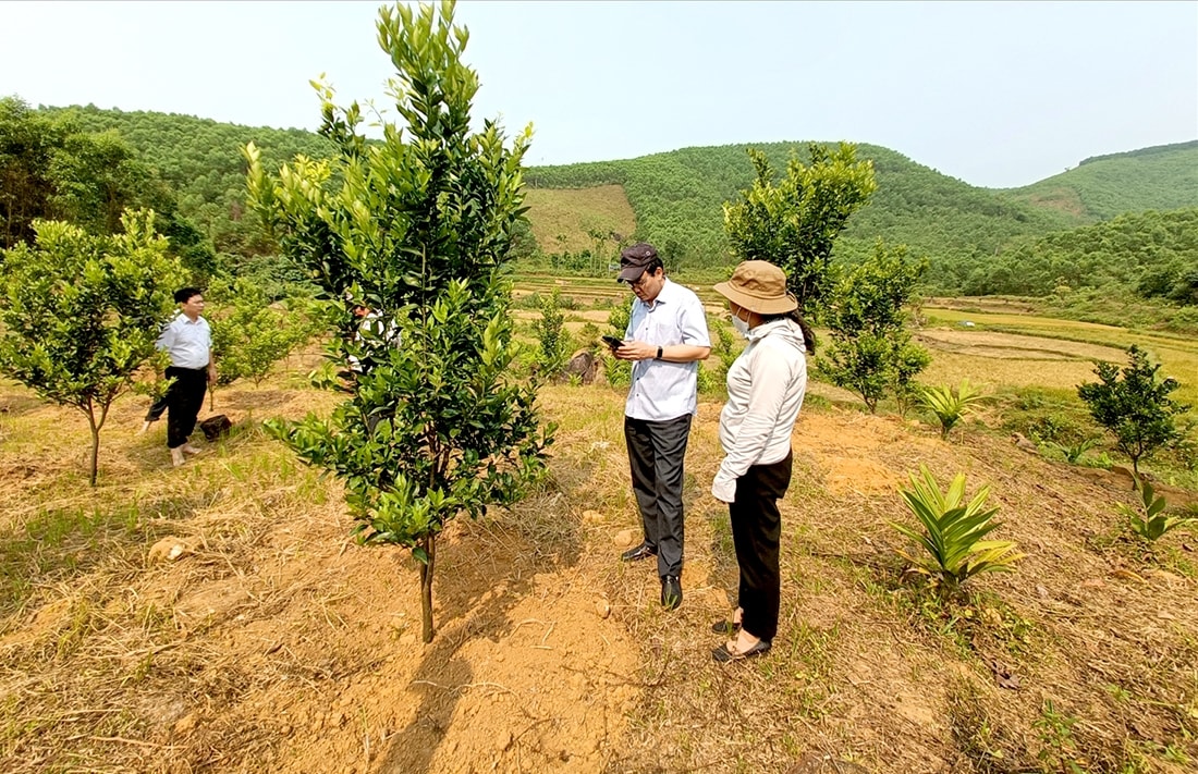 Tỉnh Quảng Ngãi tăng cường giám sát thực hiện Chương trình mục tiêu quốc gia phát triển kinh tế - xã hội vùng đồng bào DTTS và miền núi