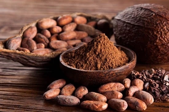 (Tổng hợp) Kỹ thuật trồng cây ca cao mang lại hiệu quả kinh tế cao 4