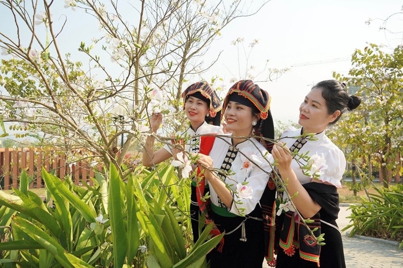 Hoa Ban sẽ góp phần trở thành biểu tượng để tôn vinh các giá trị di sản văn hóa, giới thiệu tiềm năng du lịch của tỉnh đến với du khách trong và ngoài nước