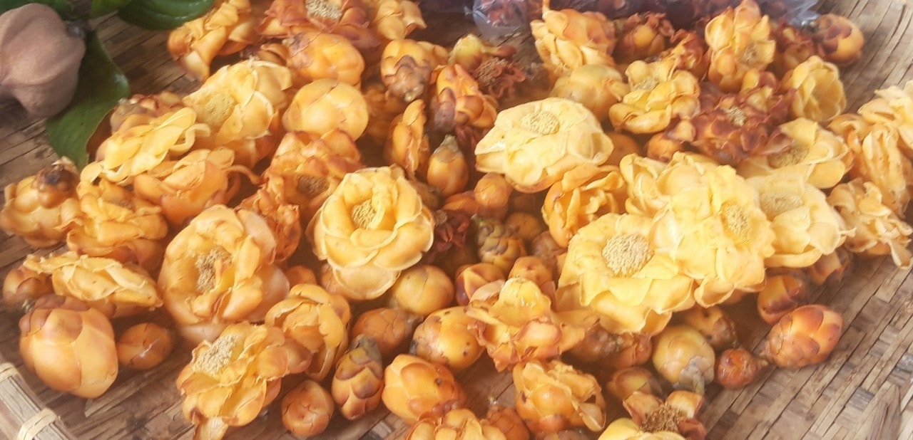 Trà hoa vàng sau khi thu hoạch về.