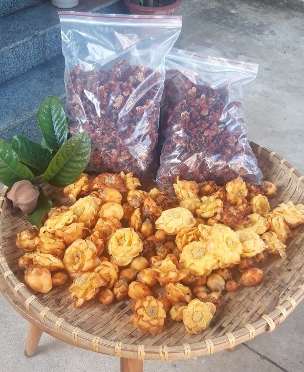 Trà hoa vàng được người Mạ phơi khô đóng gói
