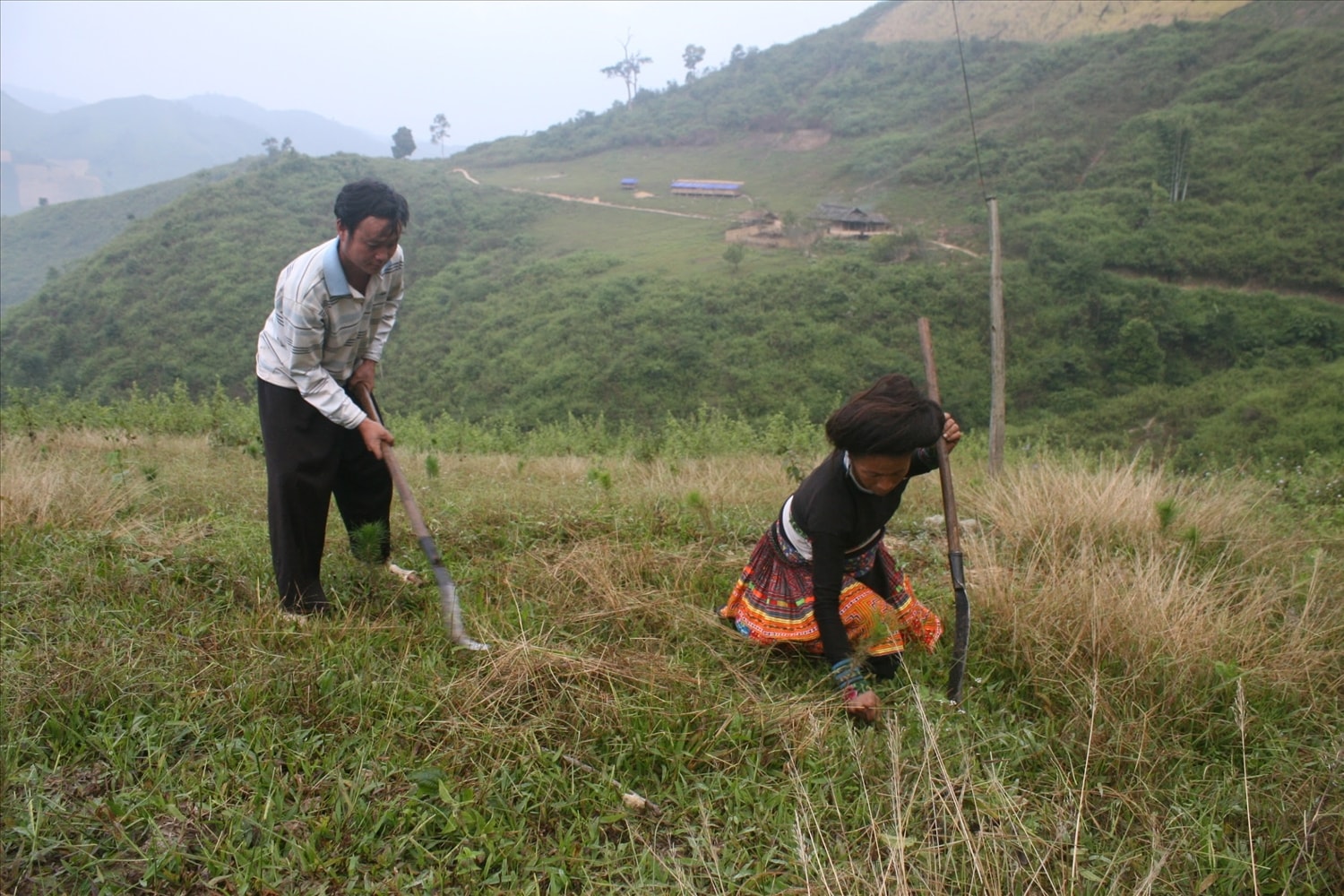 Chấm dứt tình trạng lãng phí quỹ đất nông, lâm trường