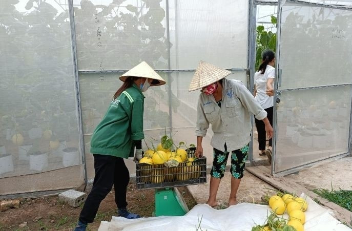 Nhiều mô hình phát triển kinh tế của đồng bào DTTS mang lại hiệu quả kinh tế cao Nhiều mô hình phát triển kinh tế của đồng bào DTTS mang lại hiệu quả kinh tế cao