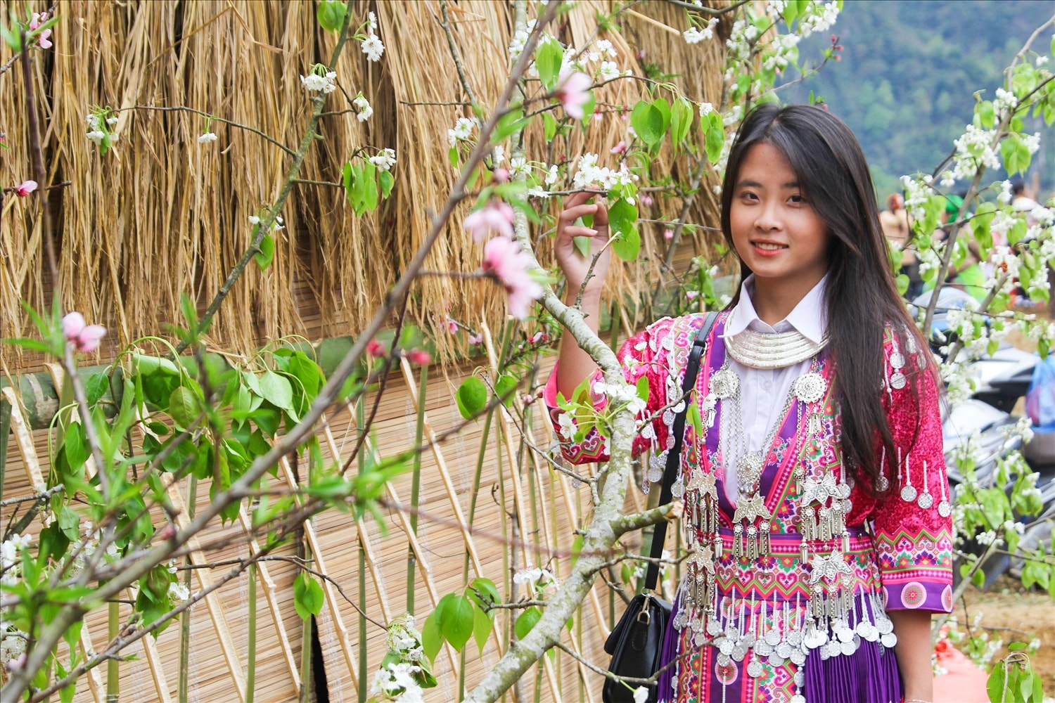 Thiếu nữ Mông bên hoa lê