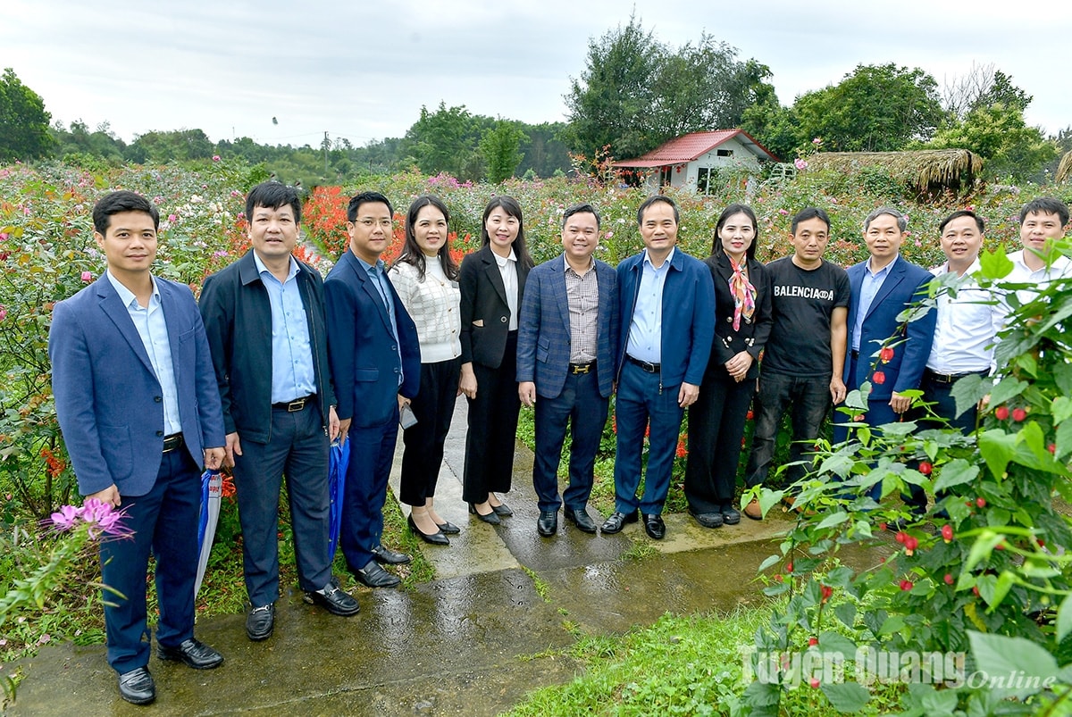 Lãnh đạo UBND tỉnh Tuyên Quang khảo sát, đánh giá thực tế việc triển khai xây dựng Làng văn hoá thôn Động Sơn, xã Chân Sơn (Yên Sơn); tham quan một số mô hình phát triển du lịch trên địa bàn xã Chân Sơn. (Ảnh TL) Lãnh đạo UBND tỉnh Tuyên Quang khảo sát, đánh giá thực tế việc triển khai xây dựng Làng văn hoá thôn Động Sơn, xã Chân Sơn (Yên Sơn); tham quan một số mô hình phát triển du lịch trên địa bàn xã Chân Sơn. (Ảnh TL)