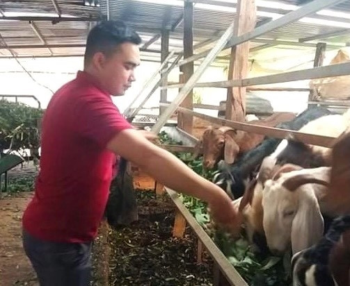 Mô hình hộ vay sử dụng hiệu quả nguồn vốn vay NHCSXH.