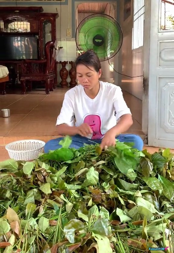 Ka Oanh sơ chế rau rừng để chế biến món ăn (Ảnh cắt từ clip trên Tik Ka Oanh sơ chế rau rừng để chế biến món ăn (Ảnh cắt từ clip trên TikTok)