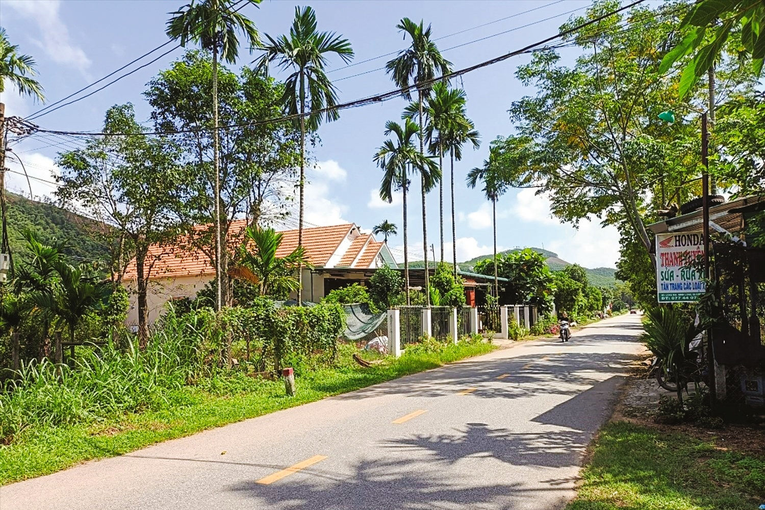 Đổi thay diện mạo vùng đồng bào DTTS và miền núi tỉnh Quảng Ngãi Đổi thay diện mạo vùng đồng bào DTTS và miền núi tỉnh Quảng Ngãi