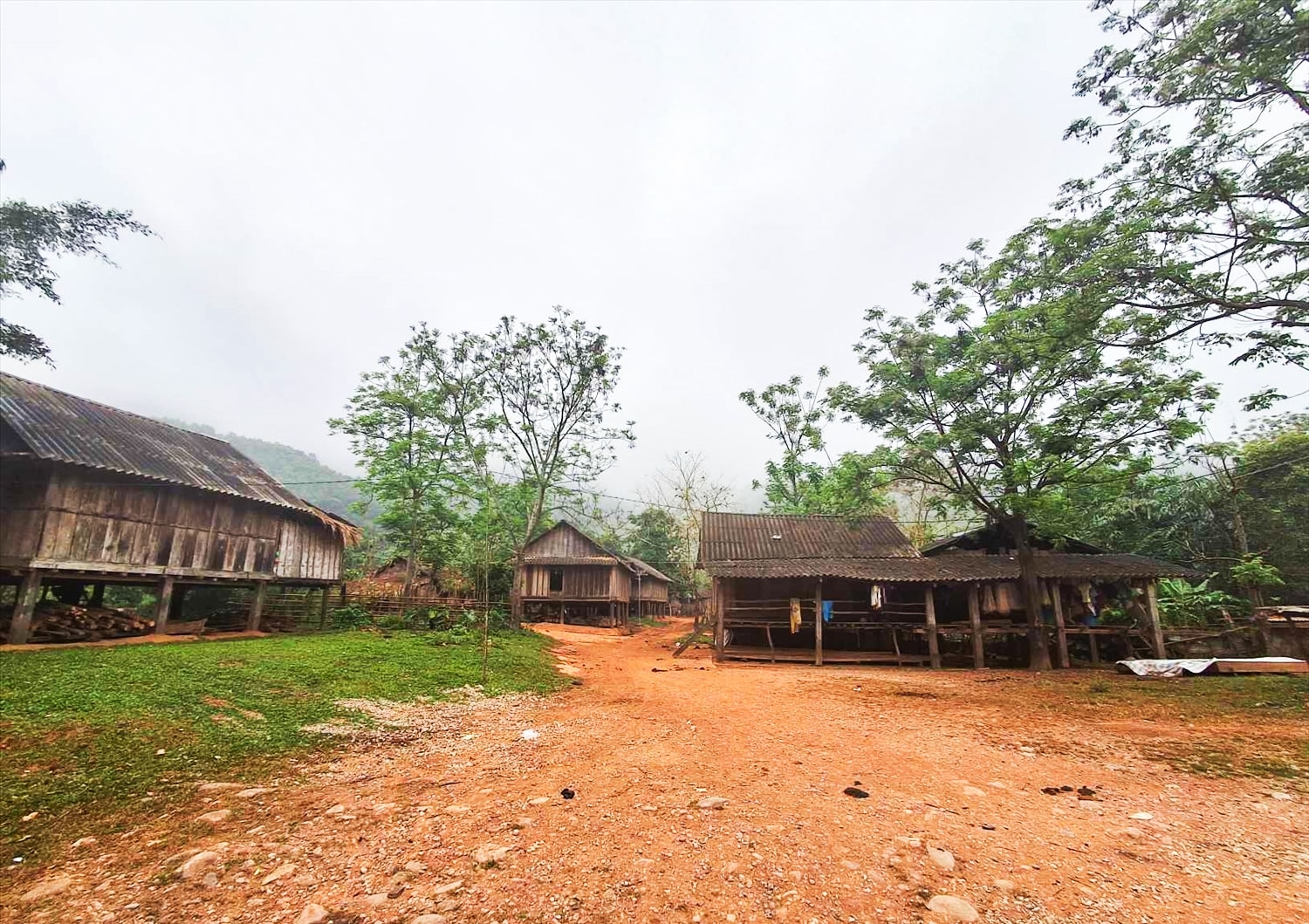 Bản Hưng, xã Trọng Hóa, huyện Minh Hóa (Quảng Bình) có 31 hộ đồng bào Bru-Vân Kiều đang sinh sống 
