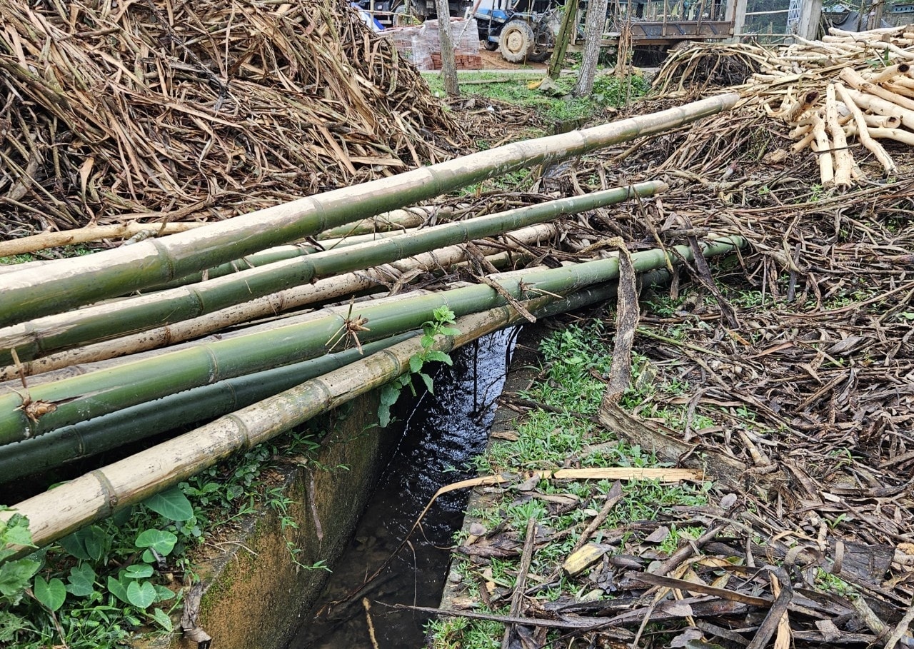 Lâm sản tràn xuống rảnh thoát nước gây ô nhiễm môi trường 