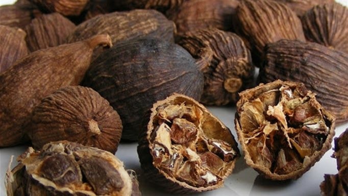 (Tổng hợp) Hướng dẫn trồng thảo quả dưới tán rừng hiệu quả nhất 4