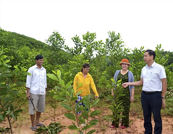 Đồng bào DTTS huyện Bắc Trà My phát triển trồng rừng gỗ lớn nhờ vốn vay theo Nghị định 28. Đồng bào DTTS huyện Bắc Trà My phát triển trồng rừng gỗ lớn nhờ vốn vay theo Nghị định 28.