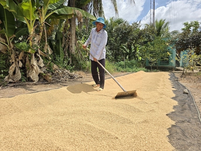 Người người nông dân sẽ được hưởng lợi từ Đề án phát triển bền vững 1 triệu ha lúa chất lượng cao. Người người nông dân sẽ được hưởng lợi từ Đề án phát triển bền vững 1 triệu ha lúa chất lượng cao.