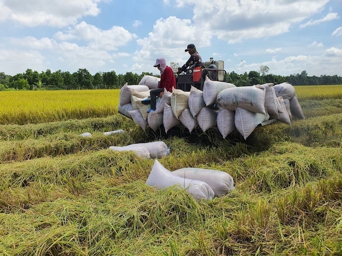 Theo Lãnh đạo ngành nông nghiệp một số địa phương, cần thúc đẩy thương lái tham gia thực hiện liên kết, tiêu thụ với nông dân. Theo Lãnh đạo ngành nông nghiệp một số địa phương, cần thúc đẩy thương lái tham gia thực hiện liên kết, tiêu thụ với nông dân.
