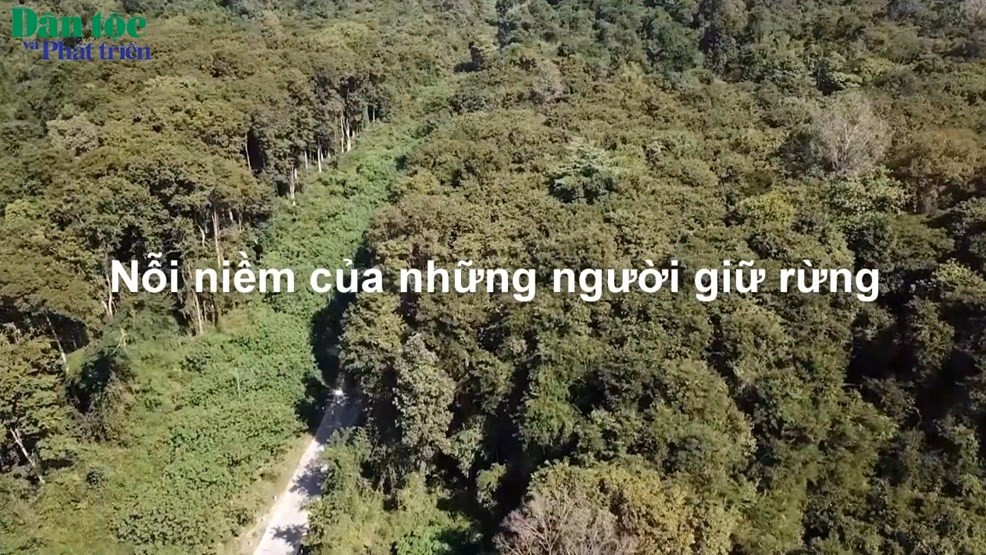 Nỗi niềm của những người giữ rừng