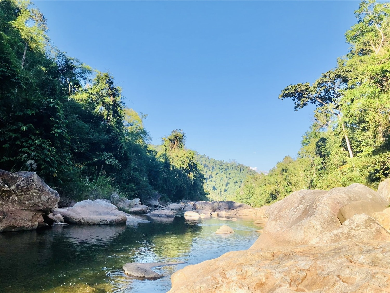 Khu bảo tồn thiên nhiên Mường nhé