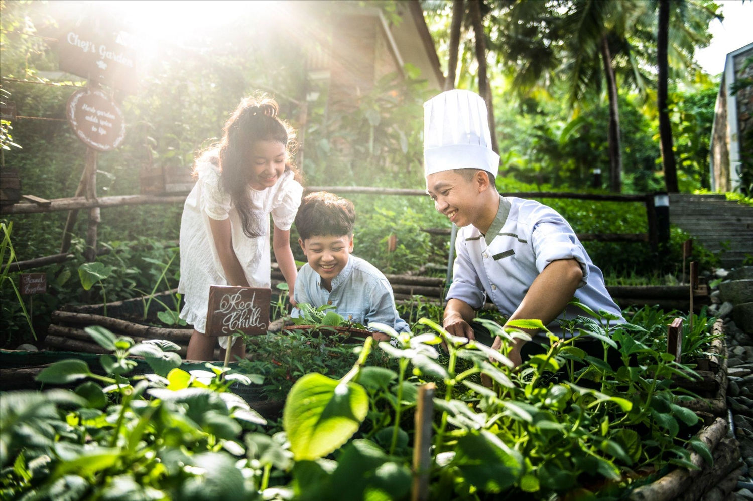 (CĐ BÙI HẠ) Vinpearl đồng loạt được vinh danh với 13 giải thưởng du lịch Vietnam Travel Awards’  5