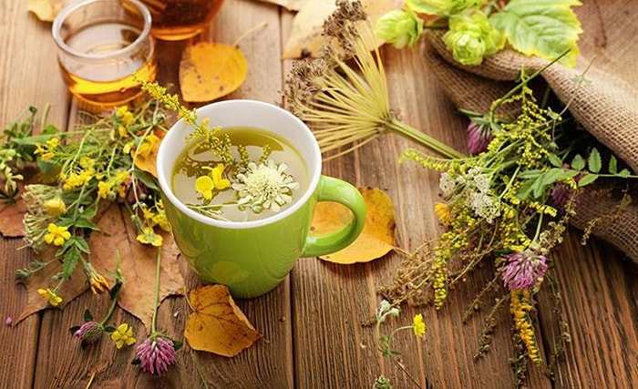 (Tổng hợp) Cách chữa viêm loét dạ dày từ thảo dược thiên nhiên 5