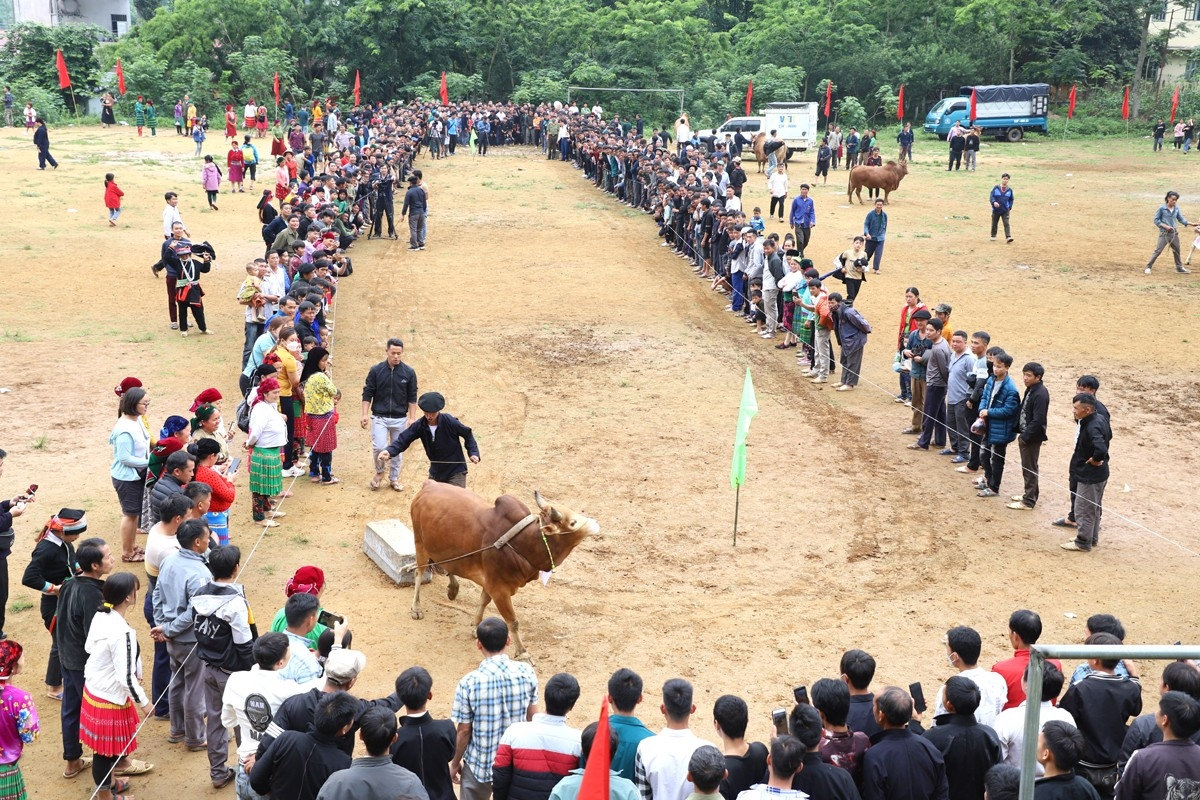 Ngày hội: Không gian văn hóa huyện Yên Minh lần thứ II sẽ được tổ chức với nhiều nội dung hấp dẫn