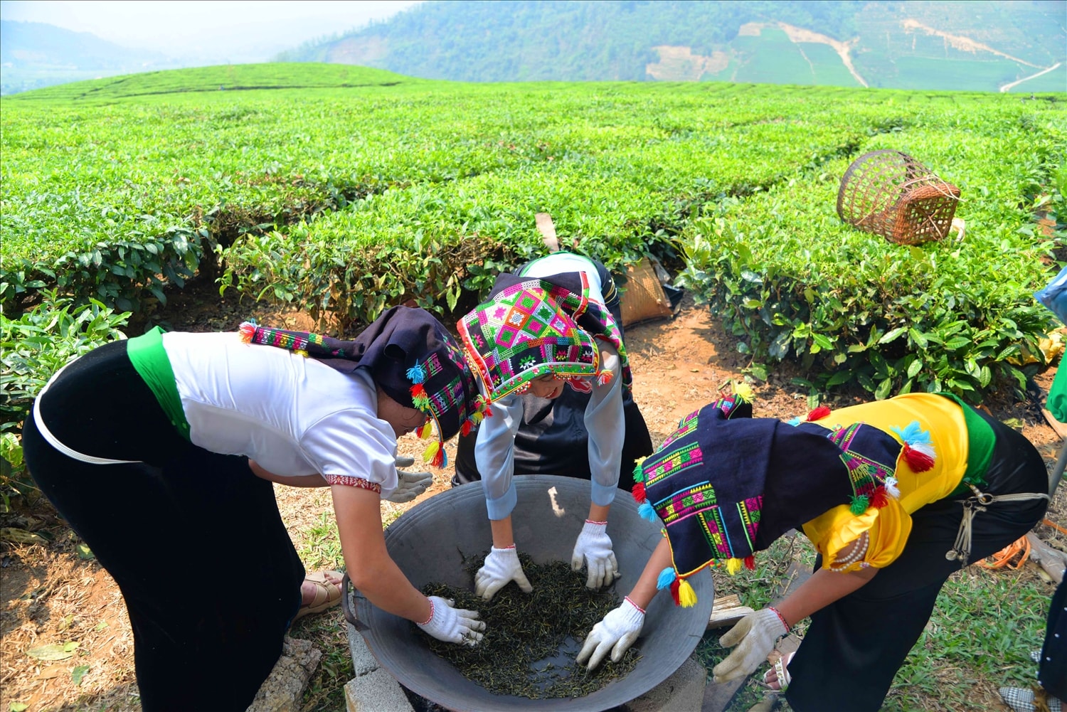 Chè sao đạt sẽ được sàng loại bỏ chè cám. Chè sao đạt sẽ được sàng loại bỏ chè cám.