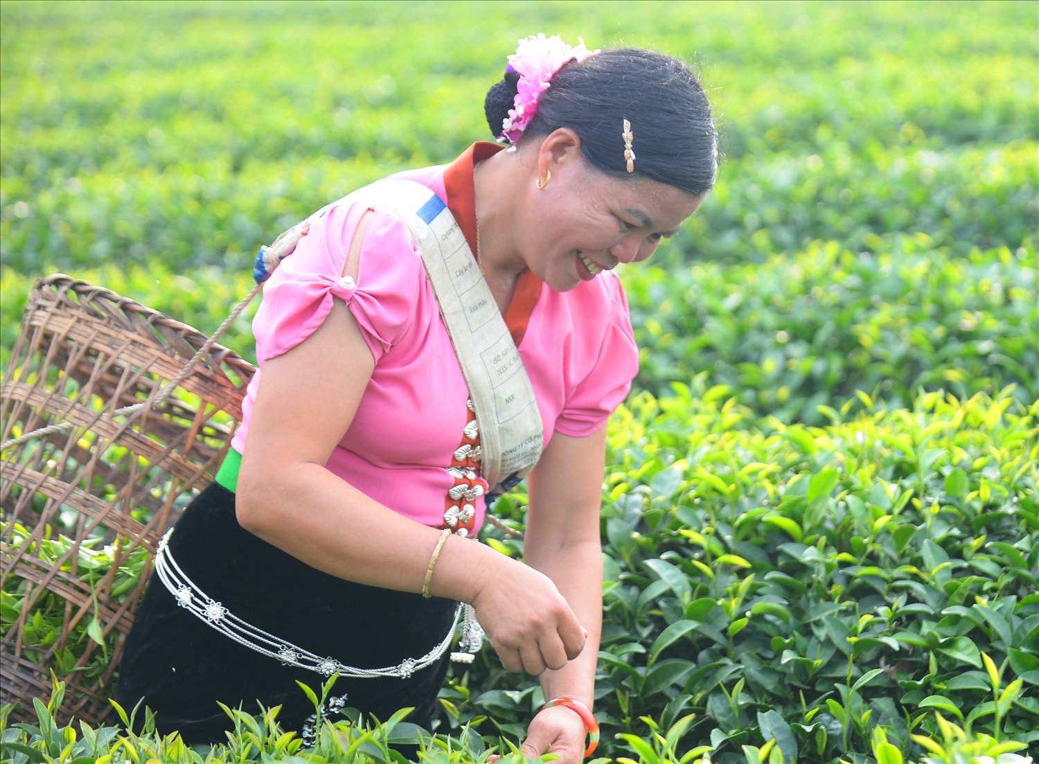 Niềm vui trong lao động tạo nên nét đẹp riêng có. Niềm vui trong lao động tạo nên nét đẹp riêng có.