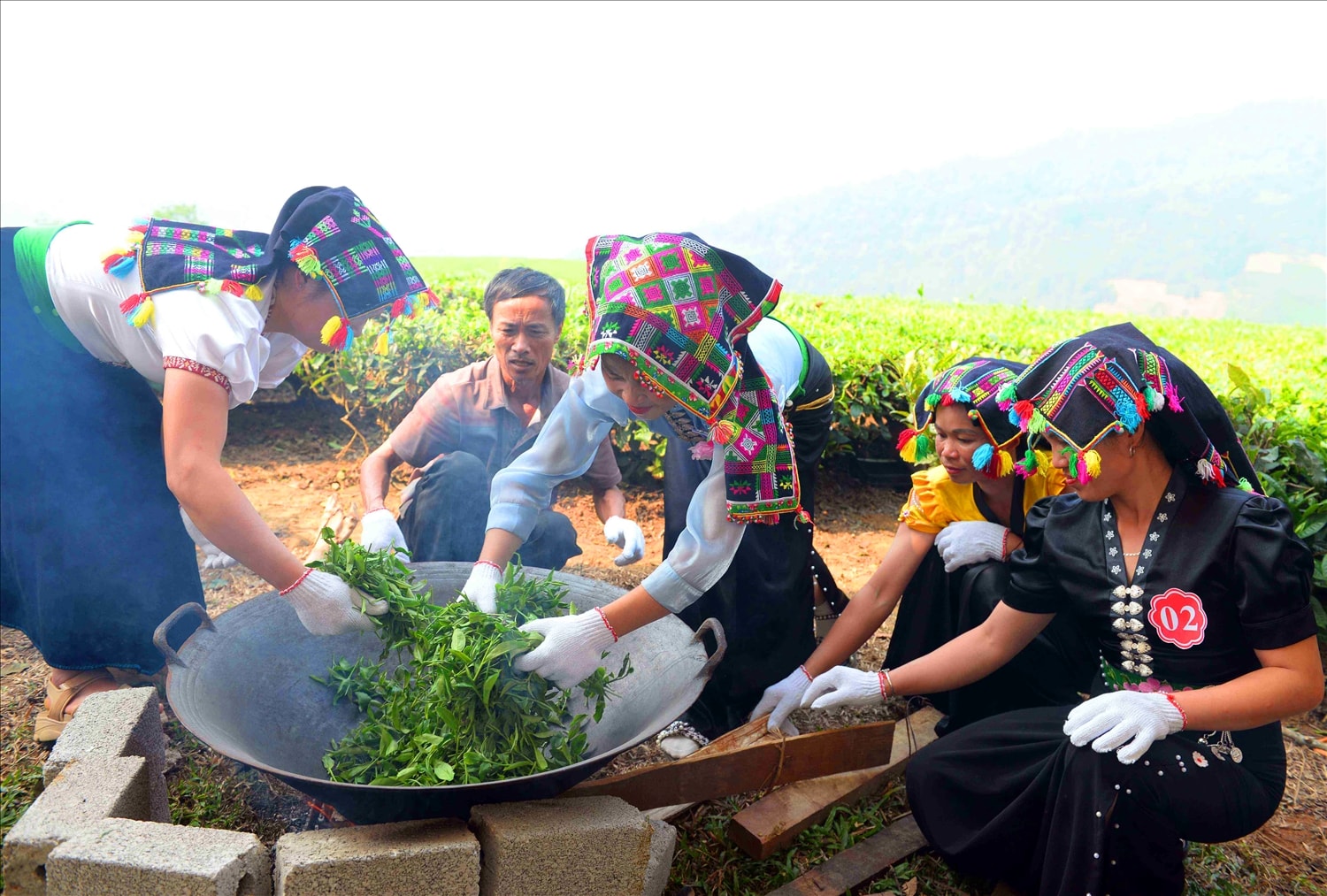 Để cho ra những cánh chè xoắn, đẹp khâu vò chè cũng khá quan trọng. Để cho ra những cánh chè xoắn, đẹp khâu vò chè cũng khá quan trọng.
