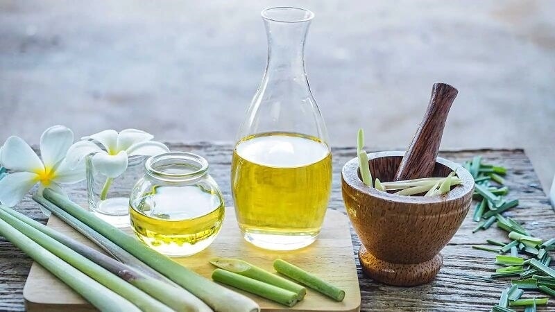 (Tổng hợp) Cách chữa viêm lợi bằng cây lá trong vườn nhà 7