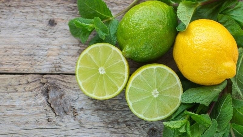 (Tổng hợp) Cách chữa viêm lợi bằng cây lá trong vườn nhà 4