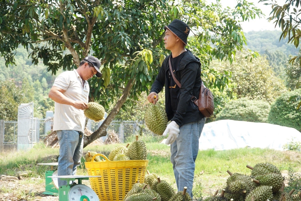 Nguồn vốn tín  dụng chính sách đã giúp  người dân phấn khới khi có nguồn vốn để phát triển kinh tế gia đình